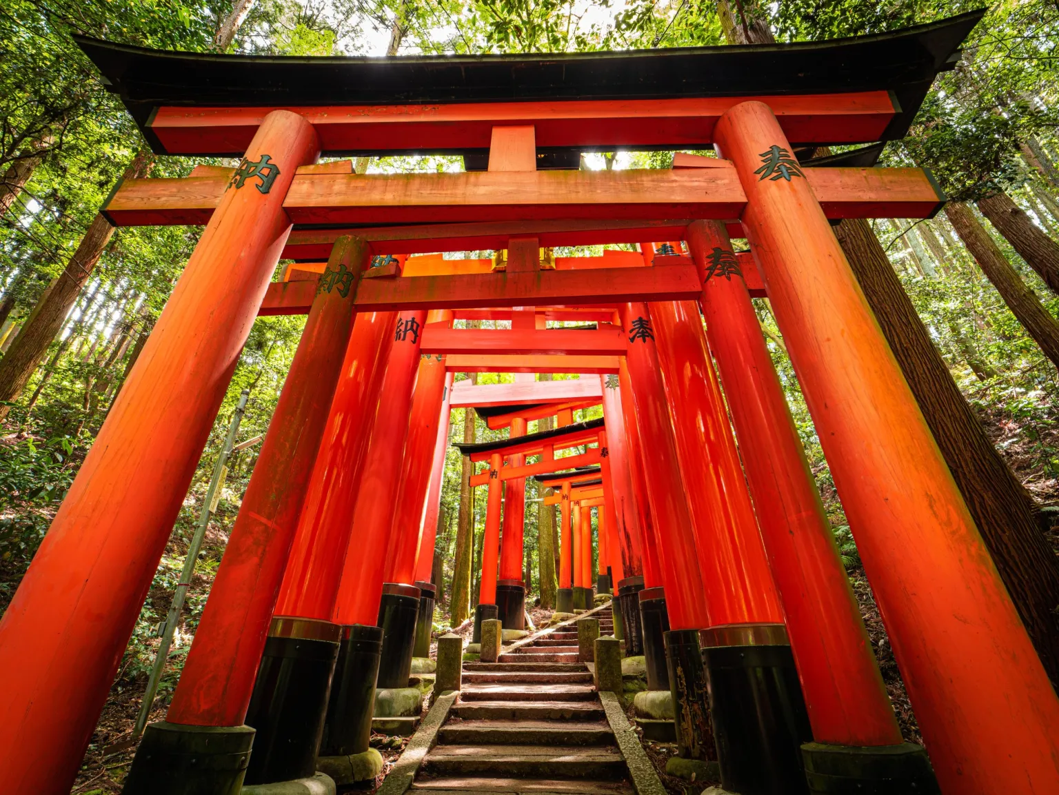 Red-Torii-gates-in-Fushimi-Inari-shrine-in-Kyoto-Japan-2-scaled